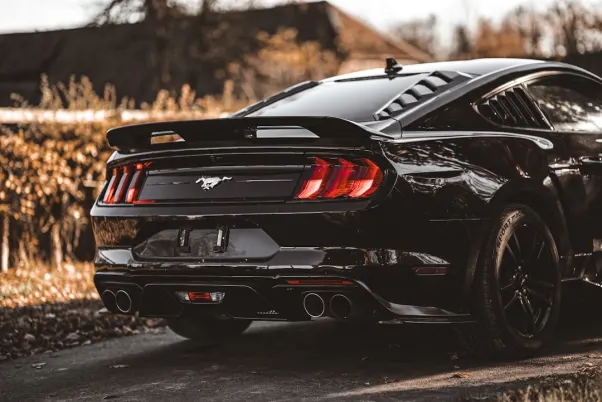 Casino Royal Valley App Android/iOS